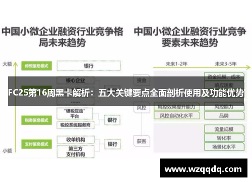 FC25第16周黑卡解析：五大关键要点全面剖析使用及功能优势