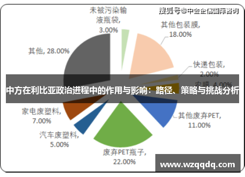 中方在利比亚政治进程中的作用与影响：路径、策略与挑战分析