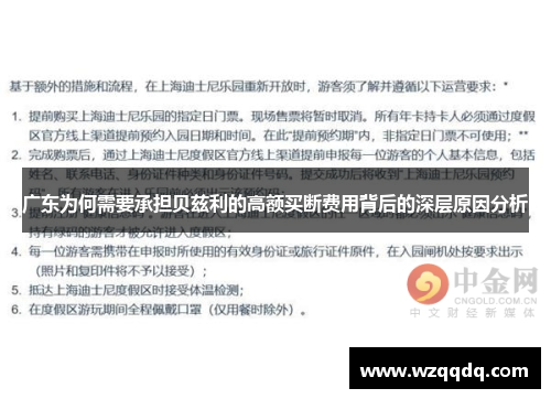 广东为何需要承担贝兹利的高额买断费用背后的深层原因分析
