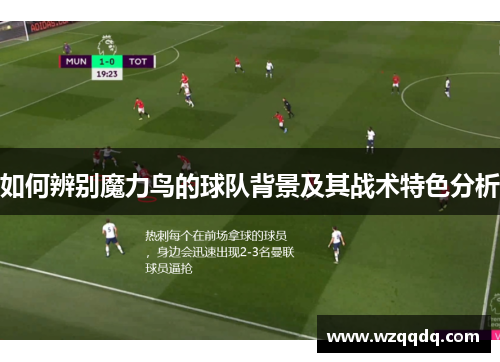 如何辨别魔力鸟的球队背景及其战术特色分析