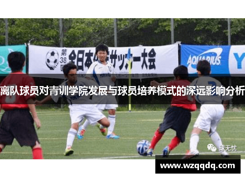 离队球员对青训学院发展与球员培养模式的深远影响分析