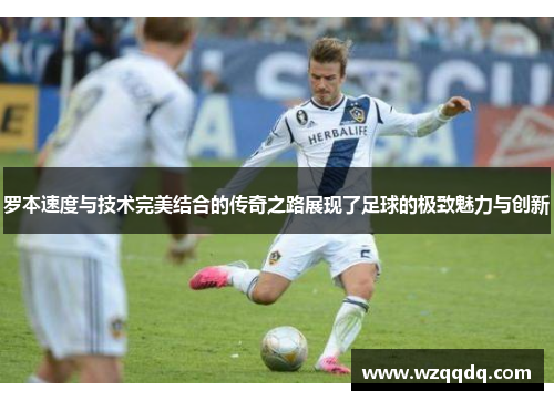 罗本速度与技术完美结合的传奇之路展现了足球的极致魅力与创新