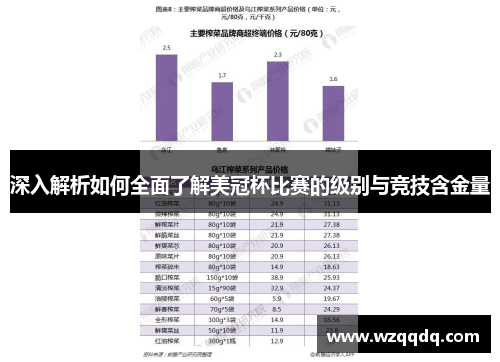 深入解析如何全面了解美冠杯比赛的级别与竞技含金量